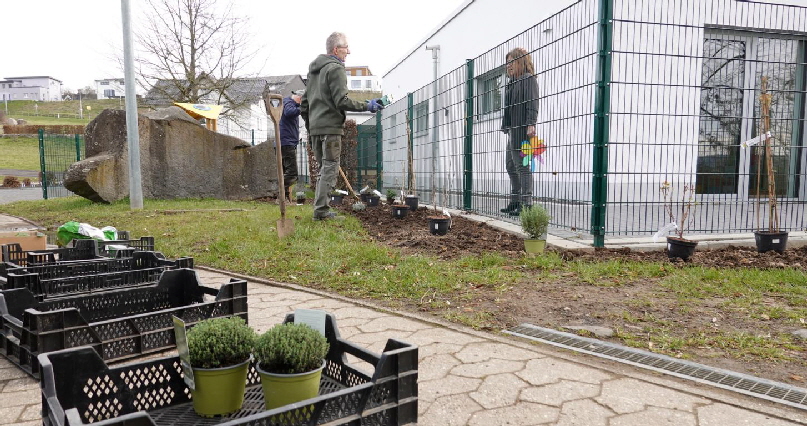 20230317 1024 Naschhecke FPN04472 02 20230317 1024 Naschhecke FPN04472 02