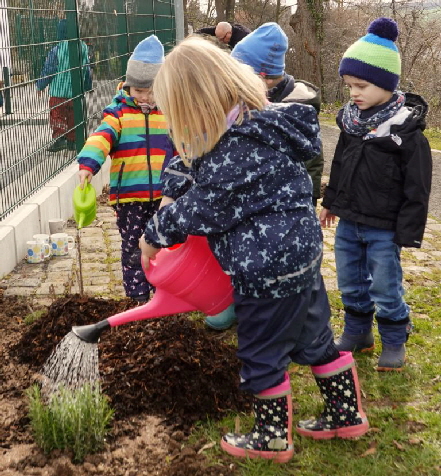 20230317 1024 Naschhecke FPN04520 02 20230317 1024 Naschhecke FPN04520 02