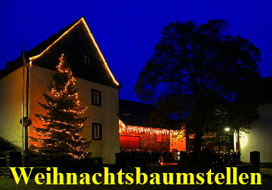 20141129 1024 Weihnachtsbaumstellen Dorfplatz Thuer IMG_08281 1