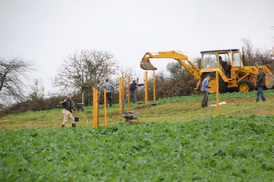 20151107 640 Streuobstwiese IMG_3972