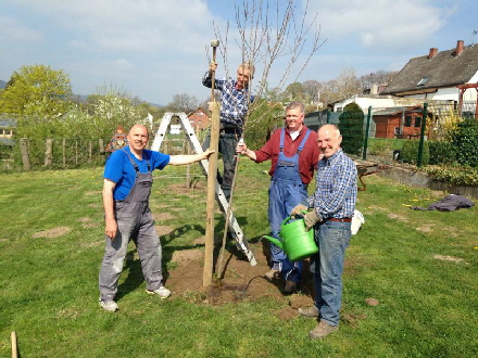 20170409 800 Baumpflanzaktion Dorfwiese Thuer