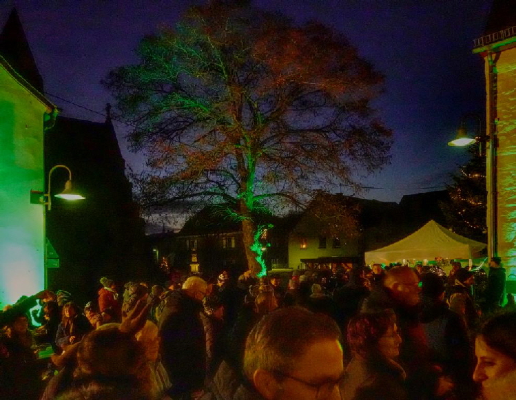 20231202 1024 Tannenbaumstellen FPN00216 HDR 20231202 1024 Tannenbaumstellen FPN00216 HDR