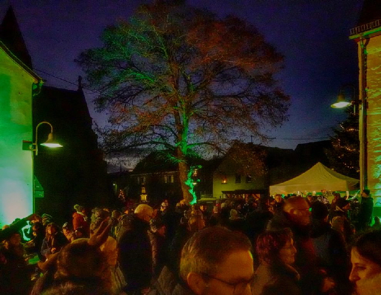 20231202 1024 Tannenbaumstellen FPN00216 HDR 20231202 1024 Tannenbaumstellen FPN00216 HDR