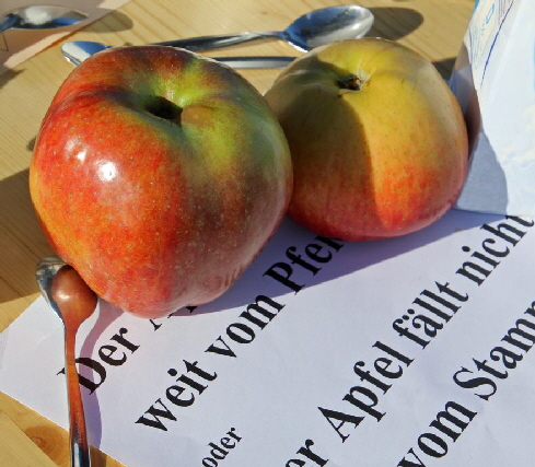 K1024_20180929 Streuobstwiese Mitgliedertag KVV IMG_1012 1