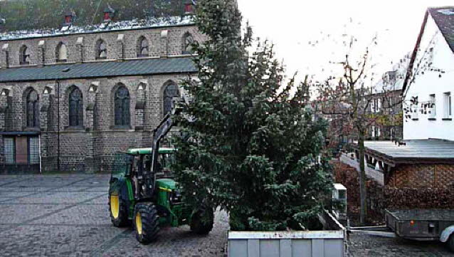 Tannenbaumstellen 2010