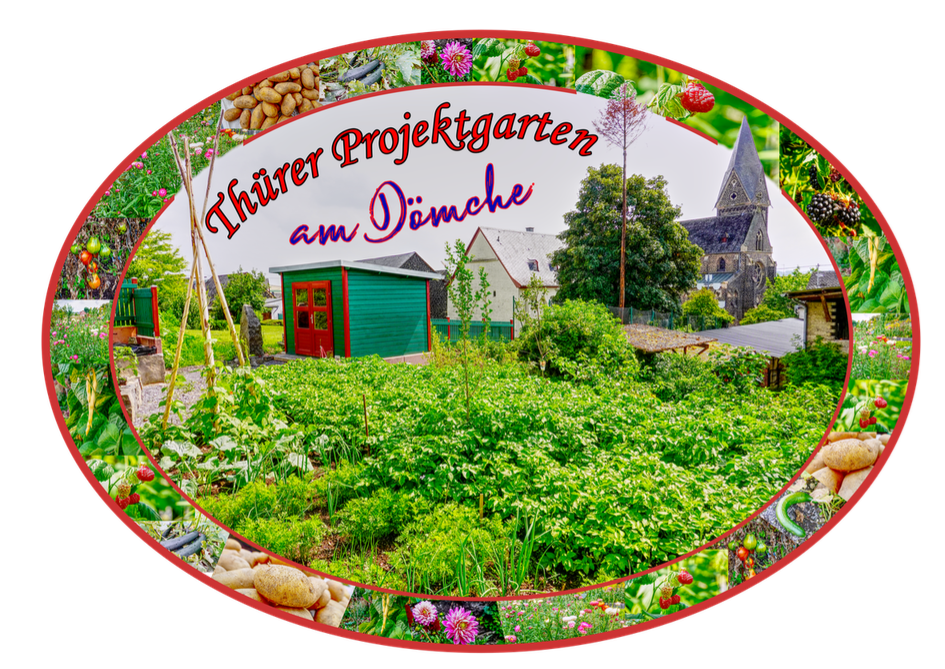 20210831 Plakat Thuerer Projektgarten am Doemchen klein1 20210831 Plakat Thuerer Projektgarten am Doemchen klein1